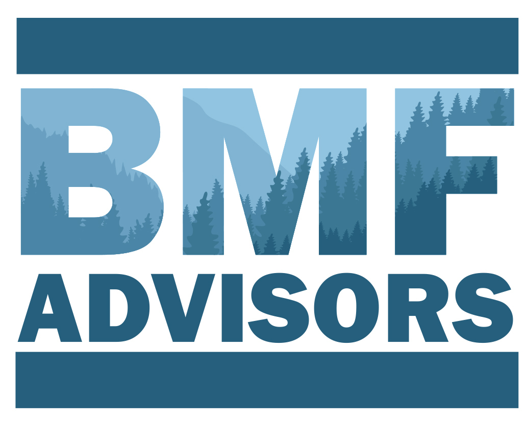 BMF Advisors